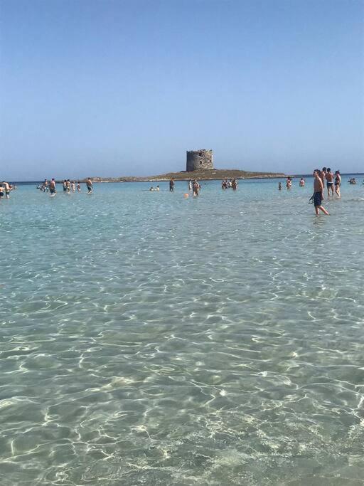 Casa Vacanze Stelle Marine Viddalba Zewnętrze zdjęcie